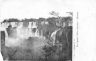 Argentina-Cascate-Iguazu-5.jpg