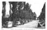 Francia-Arles-i-campi-elisi-1929.jpg