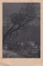 Cartolina-paese-1951.jpg