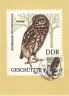 Germania-est-18051982.jpg