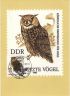 Germania-est-18051982b-jpg.jpg