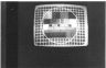 TELEEM-1.jpg