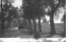 Monteleone-Calabro-Un-viale-30101918.jpg